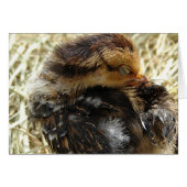 Ich habe einen Jucken Got (Vorderseite (Horizontal))