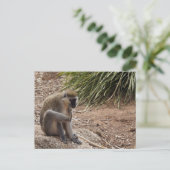 Ich habe einen Juckreiz - Spider-Affe Postkarte (Stehend Vorderseite)