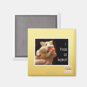 Ich habe einen Karot Magnet (Vorderseite/Rückseite)