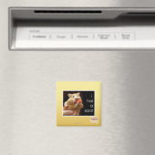 Ich habe einen Karot Magnet (In Situ (Geschirrspüler))