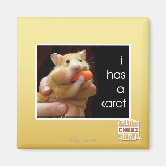 Ich habe einen Karot Magnet (Vorne)