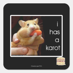 Ich habe einen Karot Quadratischer Aufkleber