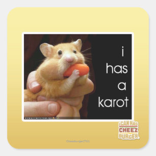 Ich habe einen Karot Quadratischer Aufkleber