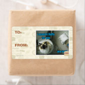 Ich habe es aus flüssigem Pelz für dich gemacht (Insitu)