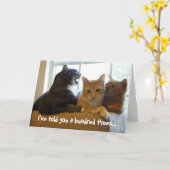 Ich habe es dir hundertmal gesagt.. karte (Gelbe Blume)