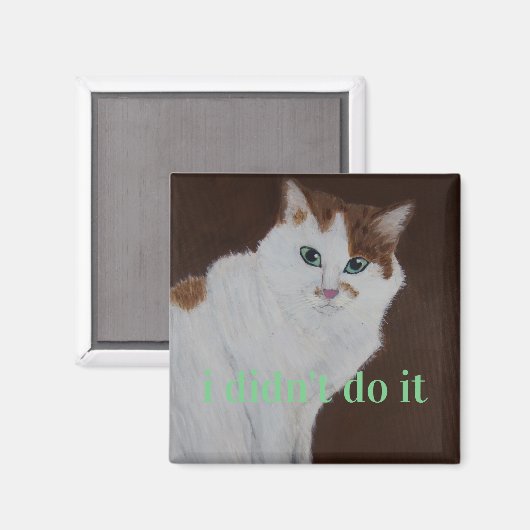 Ich habe es nicht getan magnet (Vorderseite/Rückseite)