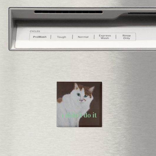 Ich habe es nicht getan magnet (In Situ (Geschirrspüler))