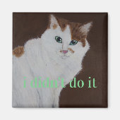 Ich habe es nicht getan magnet (Vorne)