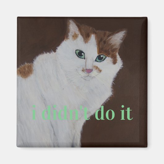 Ich habe es nicht getan magnet (Vorne)