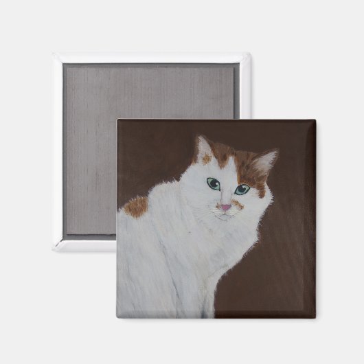 Ich habe es nicht getan magnet (Vorderseite/Rückseite)