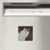 Ich habe es nicht getan magnet (In Situ (Geschirrspüler))