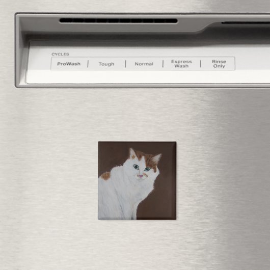 Ich habe es nicht getan magnet (In Situ (Geschirrspüler))