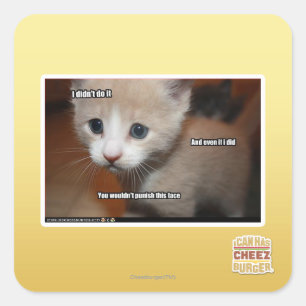 Ich habe es nicht getan. quadratischer aufkleber