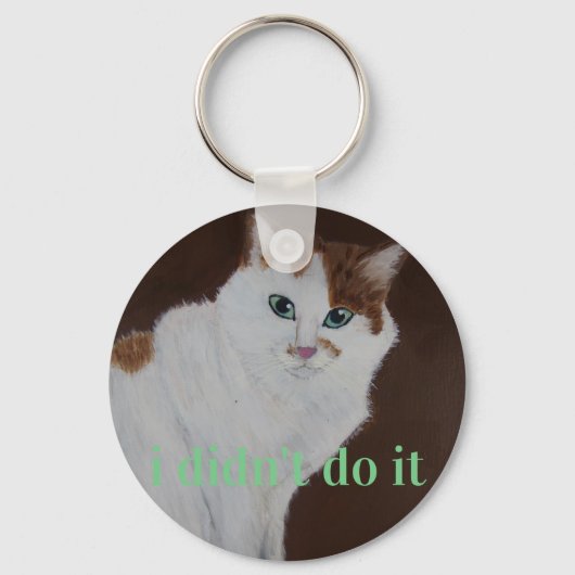 Ich habe es nicht getan schlüsselanhänger (Vorderseite)