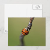 Ich habe es verloren postkarte (Vorne/Hinten)