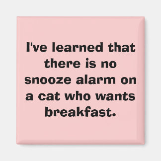 Ich habe gelernt, dass es keinen Snooze-Alarm auf  Magnet