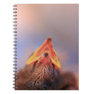 Ich habe Hunger! (Baby Bird) Notizblock