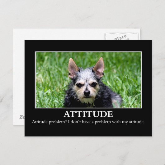 Ich habe kein Problem mit der Einstellung Postkarte (Vorne/Hinten)