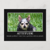 Ich habe kein Problem mit der Einstellung Postkarte (Vorderseite)