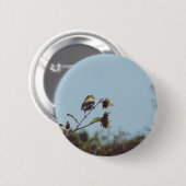 Ich habe kleine Besucher. #bird #nature #willife Button (Vorne & Hinten)