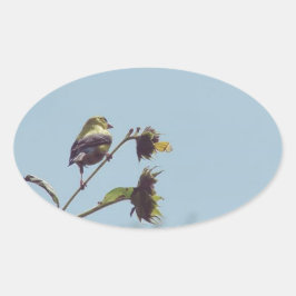 Ich habe kleine Besucher. #bird #nature #willife Ovaler Aufkleber