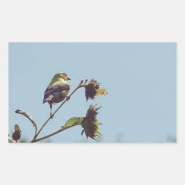 Ich habe kleine Besucher. #bird #nature #willife Rechteckiger Aufkleber