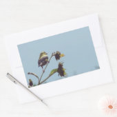 Ich habe kleine Besucher. #bird #nature #willife Rechteckiger Aufkleber (Umschlag)