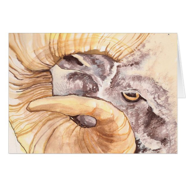 ich habe mein Auge auf Mutterschaf (Vorderseite (Horizontal))