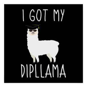 Ich habe mein Diplom lustiges Abschluss-Lama-Worts Poster