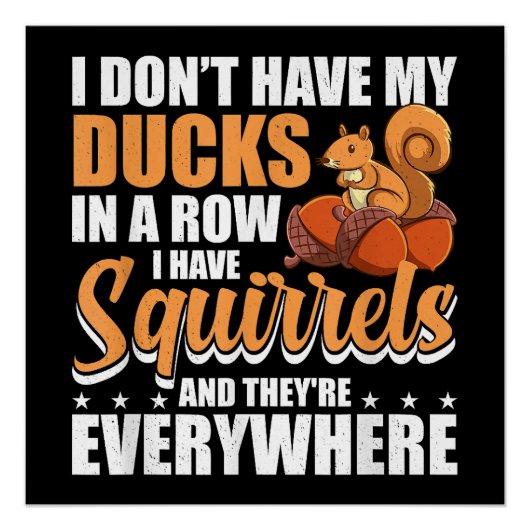 Ich habe meine Enten nicht in einer Reihe, in der Poster (Vorderseite)