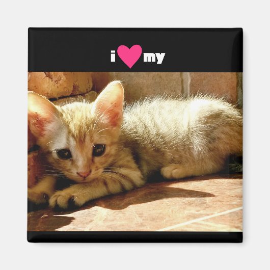 Ich habe meine Katze gehört Magnet (Vorne)