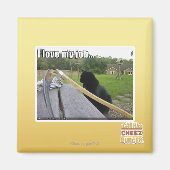 Ich habe meine Liebe Magnet (Vorne)