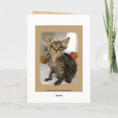 Ich habe meine Mami Gewollt! Messy Kitten Card Karte (Rückseite)