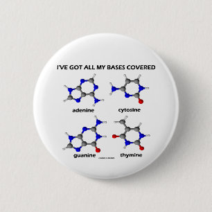 Ich habe meine umfaßten Basis (Basis der Button