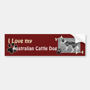 Ich habe meinen australischen Rind-Hund-Autoaufkle Autoaufkleber