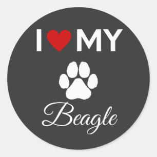 Ich habe meinen Beagle-Hund-Sondertext Liebe Runder Aufkleber