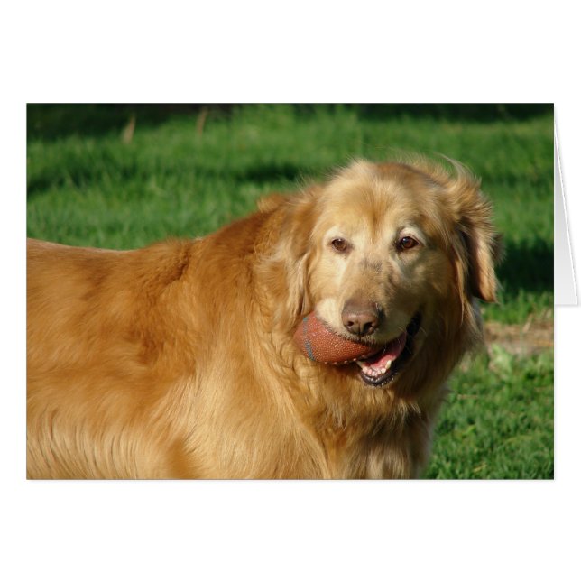 Ich habe meinen Fußball Got (Vorderseite (Horizontal))