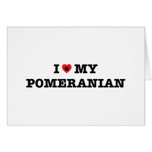 Ich habe meinen Spitz gehört