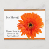 Ich habe mich bewegt! Orange Daisy mit Holzpostkar Ankündigungspostkarte (Vorderseite)