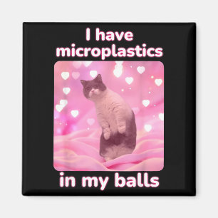 Ich habe Mikroplastik in meinem rosa Katzen-Meme D Magnet