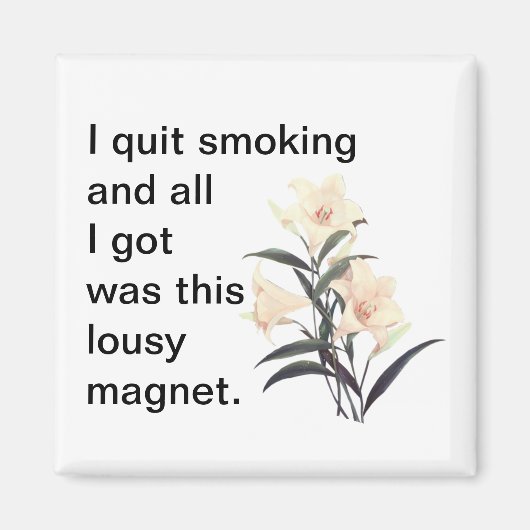 Ich habe mit dem Rauchen aufgehört, und alles, was Magnet (Vorne)