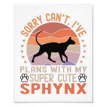 Ich habe mit meiner Sphynx-Katze Pläne