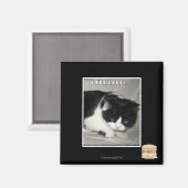 Ich habe nicht 2 bedeutet magnet (Vorderseite/Rückseite)