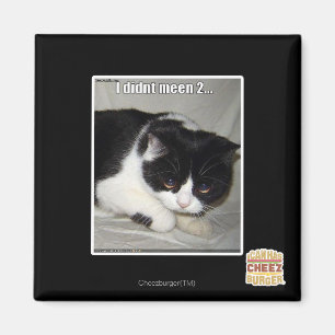 Ich habe nicht 2 bedeutet magnet