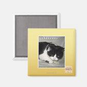 Ich habe nicht 2 bedeutet magnet (Vorderseite/Rückseite)