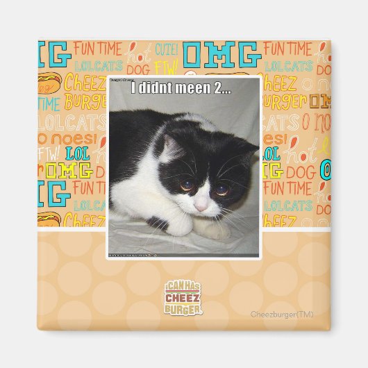 Ich habe nicht 2 bedeutet magnet (Vorne)