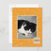 Ich habe nicht 2 bedeutet postkarte (Vorne/Hinten)