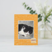 Ich habe nicht 2 bedeutet postkarte (Stehend Vorderseite)