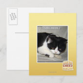 Ich habe nicht 2 bedeutet postkarte (Vorne/Hinten)