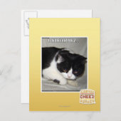 Ich habe nicht 2 bedeutet postkarte (Vorne/Hinten)